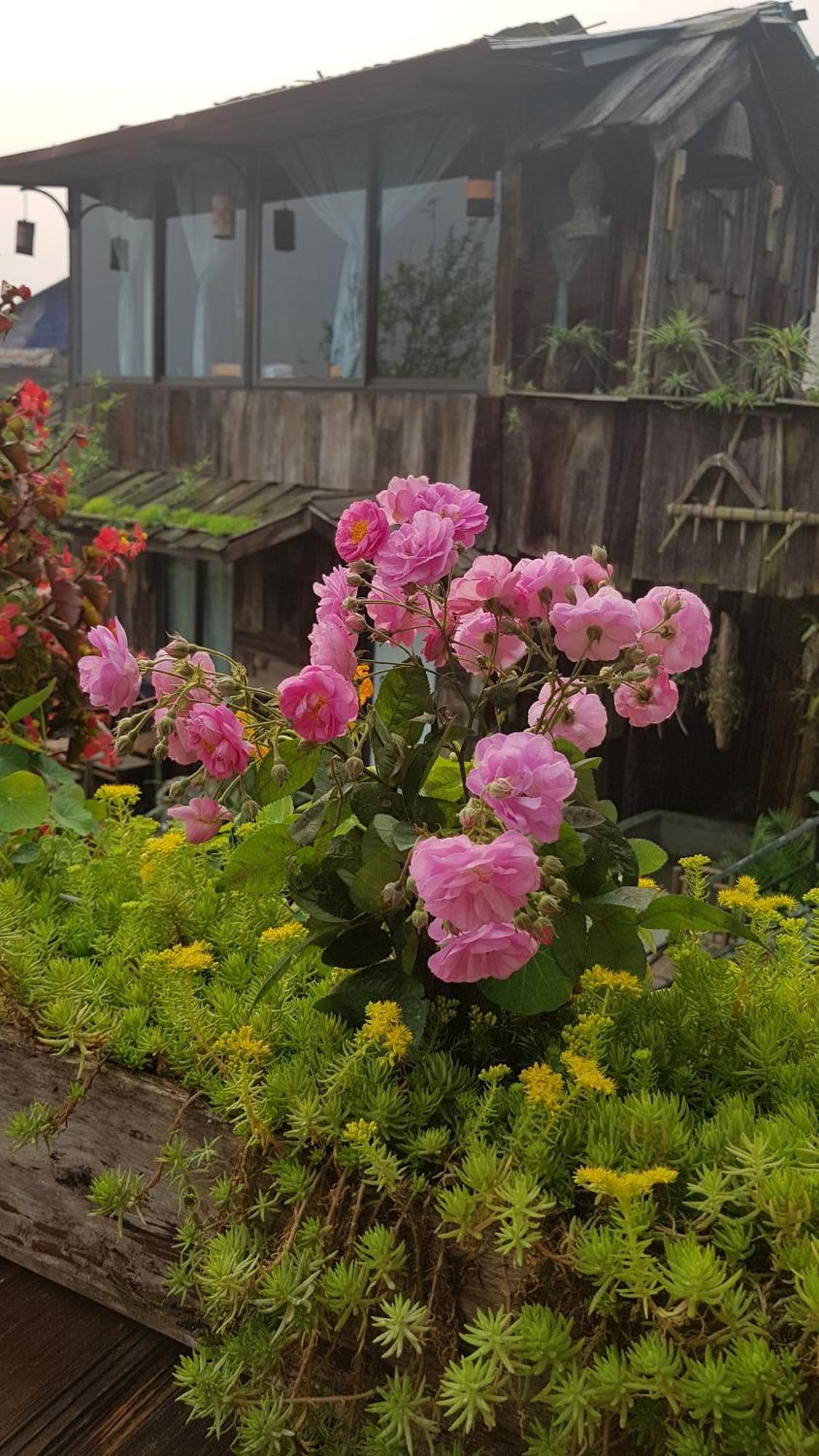 Tavan View Homestay Sa Pa Eksteriør bilde